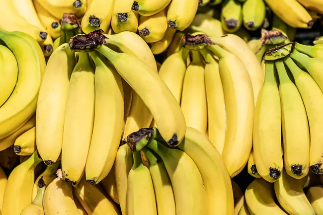 photo of hands of bananas