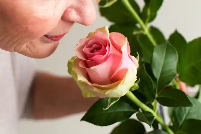 mature woman smelling rose
