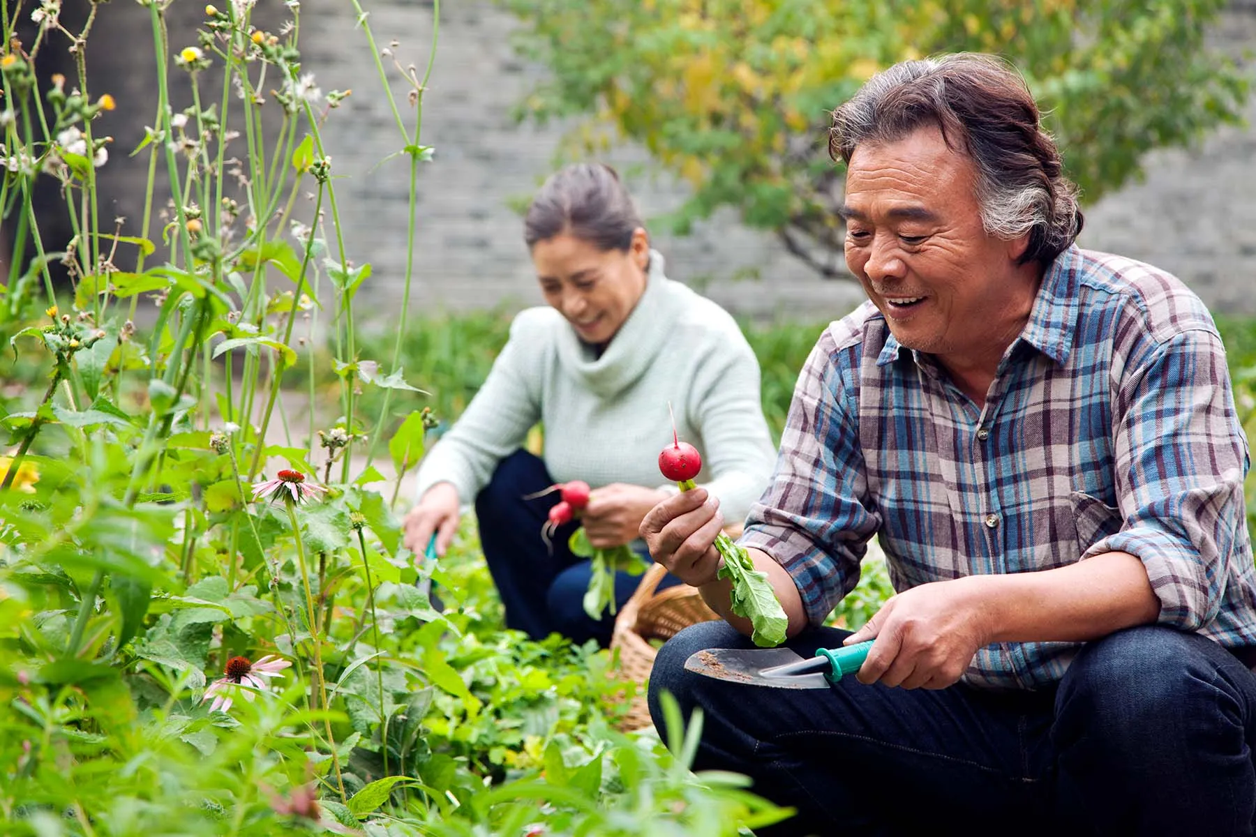 Community Gardening Could Boost Your Lifestyle and Your Health