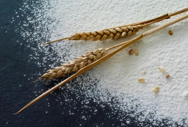 What Makes Whole Grains So Good?