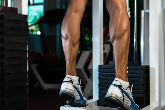 What Are Calf Muscles?