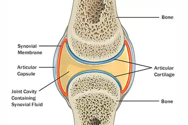 joint stiffness crenunchi de genunchi cu durere