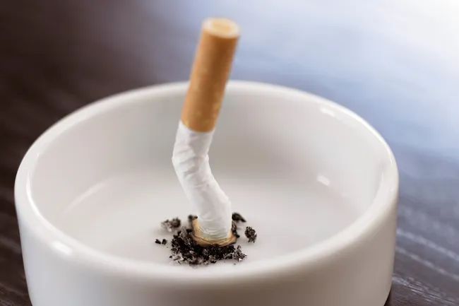 photo of cigarette butt in ashtray