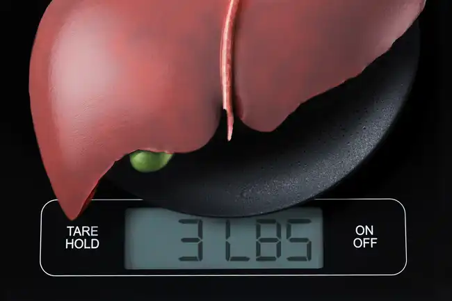 liver on scale