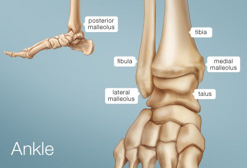 ankle joint dureri articulare de turmalină