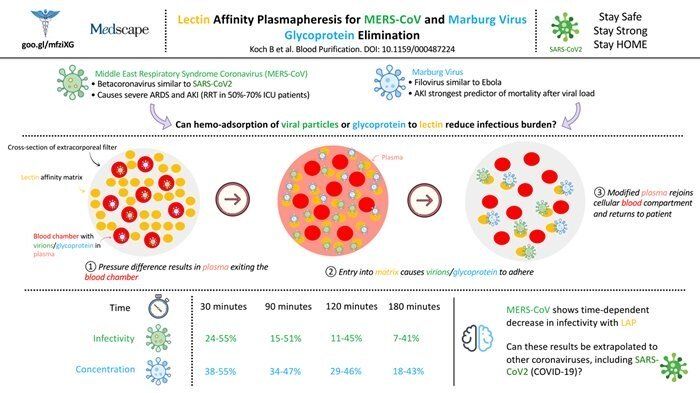 infographic on lectin affinity plasmapheresis