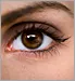 Eyebrow and Eyelash Tinting: Is It Safe?