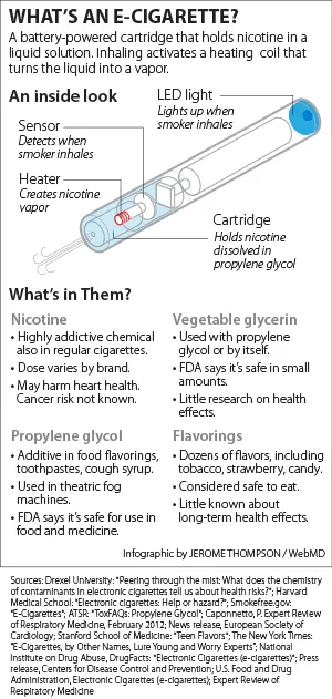 E-Cigarette Anatomy  Infographic