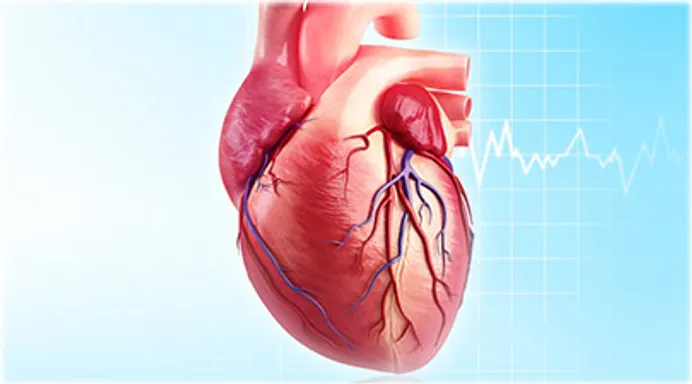 Afib With Rvr Things To Know Before You Buy