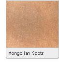 Picture of Mongolian Spots