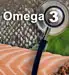 Omega 3 Overview Slideshow