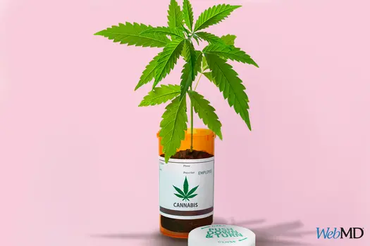 photo of medical marijuana