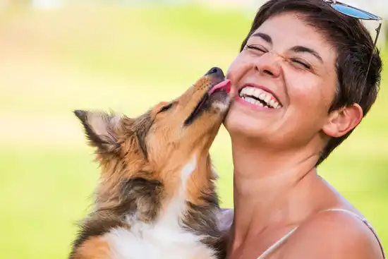 dog licking womans face