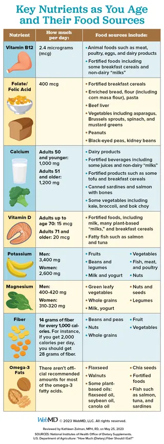 photo of nutrients infographic