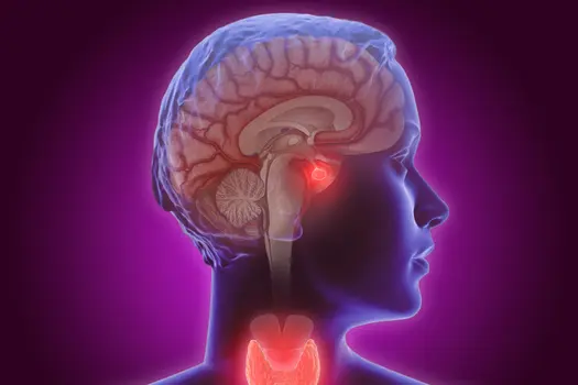 photo of medical lifestyle brain human pink dark