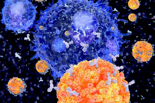 A Closer Look at B-Cell Therapy 