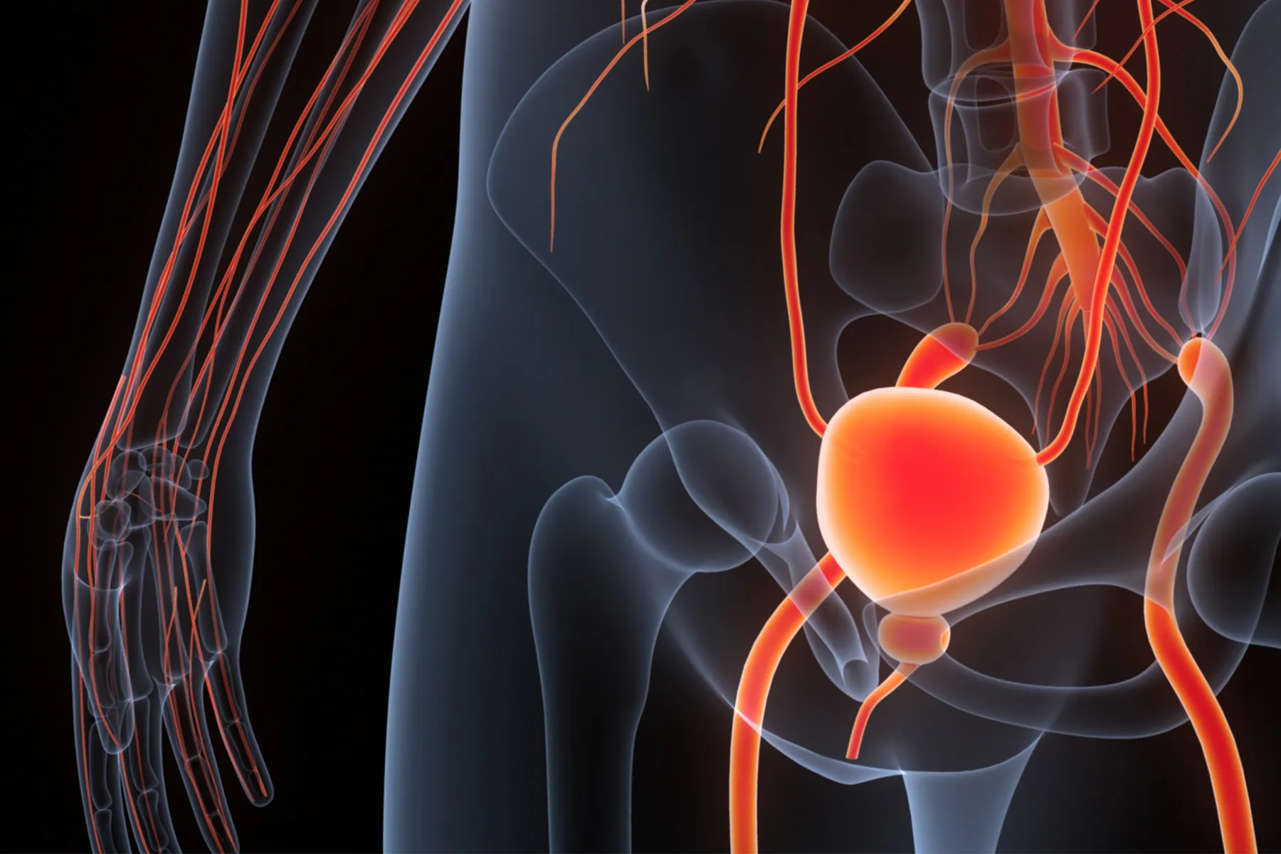Digital rectal exam may miss early prostate cancer: study