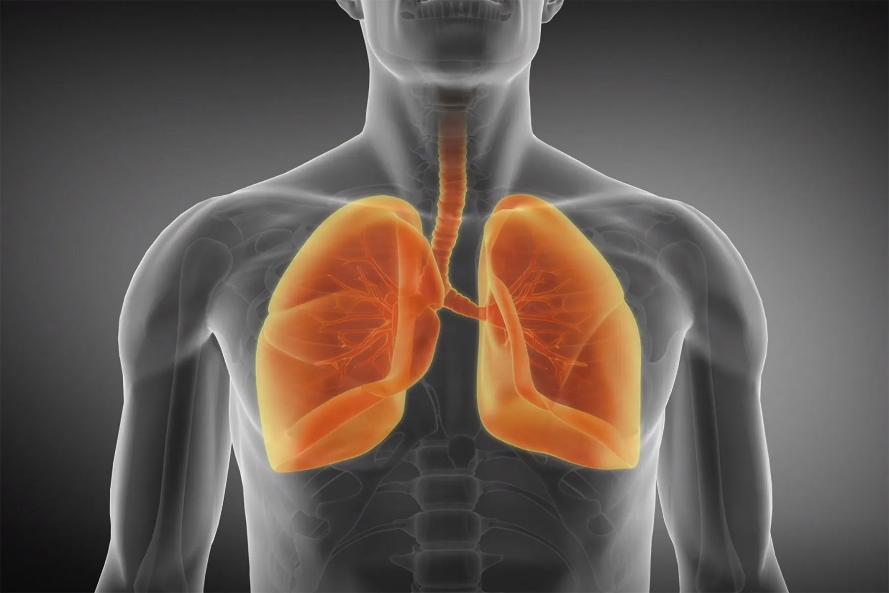 Black Patients Fare Worse With Deadly Lung Disease Pulmonary Fibrosis
