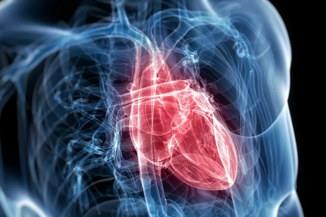 Matters of the Heart: Symptoms and Risk Factors
