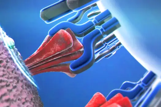 breakdown cancer immunotherapy video