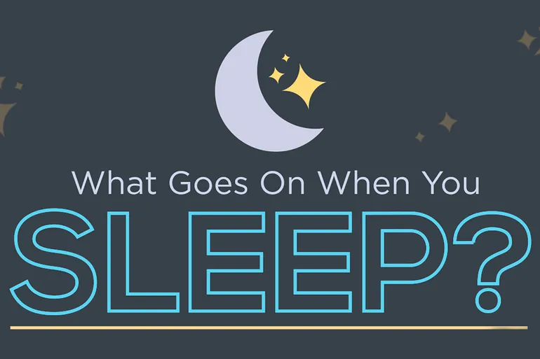 What Happens While You Sleep