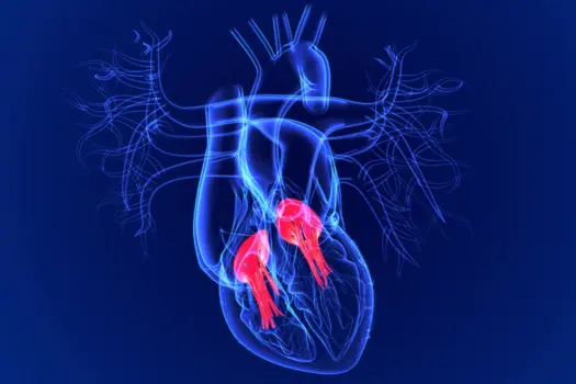 photo of heart illustration