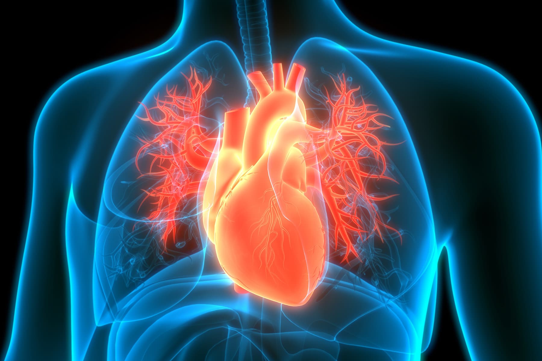 COVID Attacks DNA in Heart, Unlike Flu, Study Says
