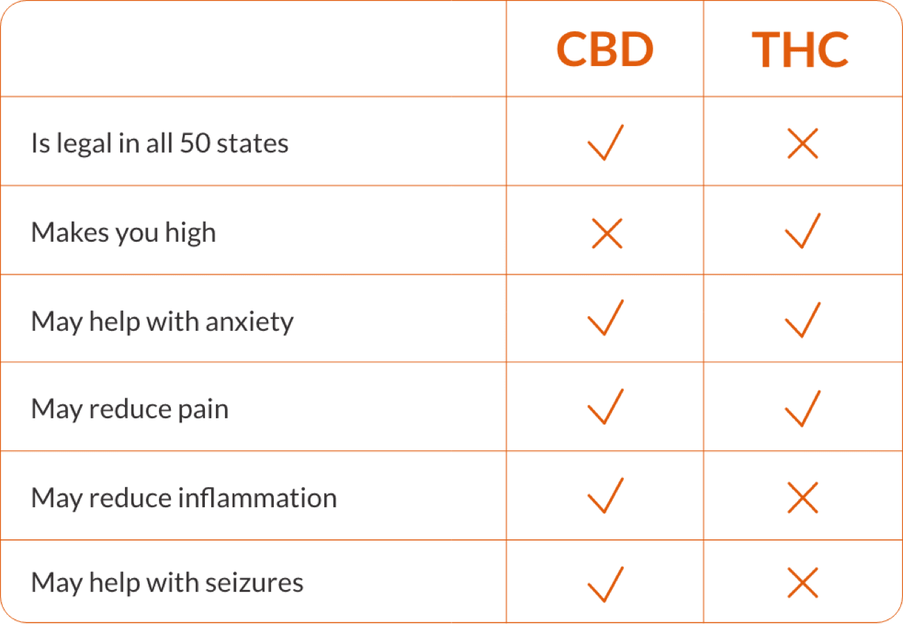 CBD vs THC