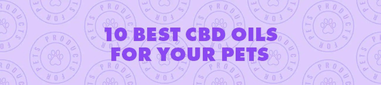 where to buy cbd for dogs